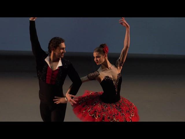 Angelina Vorontsova & Ivan Vasiliev - DQ Pdd - Mikhailovsky Gala