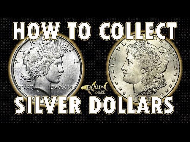 Morgan Silver Dollar - The Basics and Collecting Tips from Bullion Shark