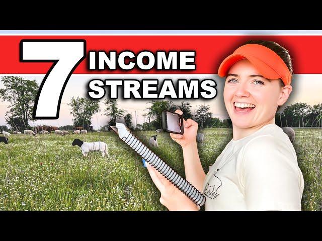 MY 7 INCOME STREAMS AS A SHEEP FARMER | Side Hustle Ideas Business Small Farming