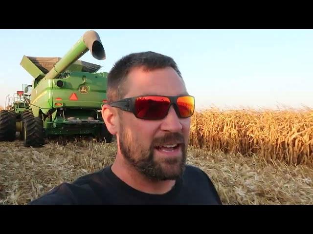 First Harvest Break Down