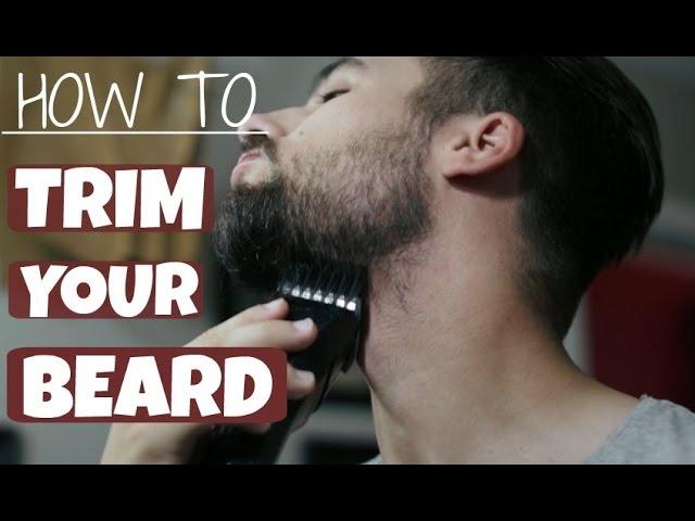 How To Trim and Shape Your Beard | TheGentlemansCove