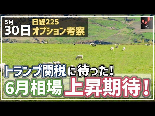 【日経225オプション考察】5/30 トランプ関税に待った！ 関税停止なら6月相場は上昇が期待できるぞ！