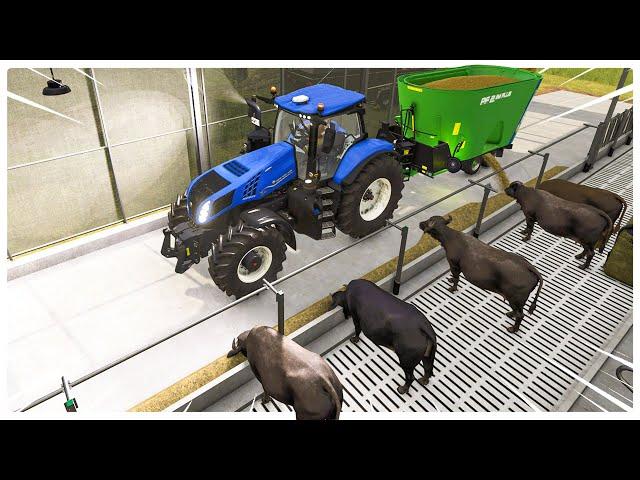 Making Total Mixed Rations Almost Broke Me in Farming Simulator 25