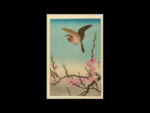 Koson Ohara from the Neko Collection - artelino