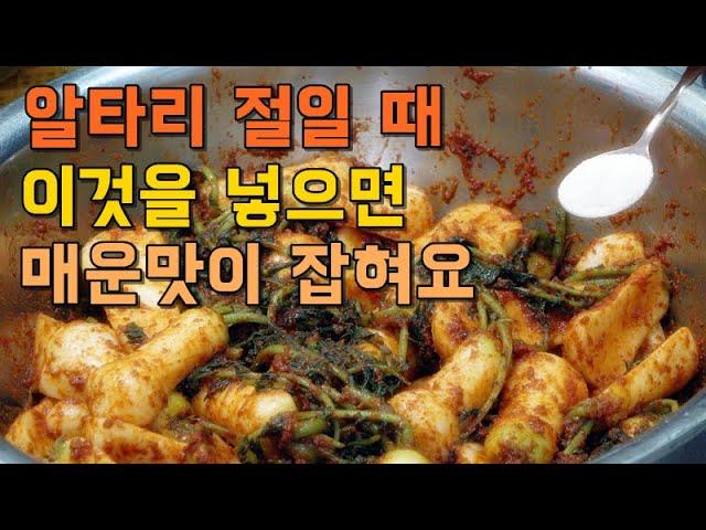 알타리 김치 맛있게 담그는 방법 알타리 절일 때 이것을 넣으면 매운맛을 잡아줘요