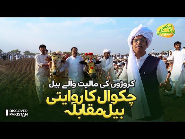 Chakwal Bull Show 2022 | Dekho Pakistan With Amin Hafeez