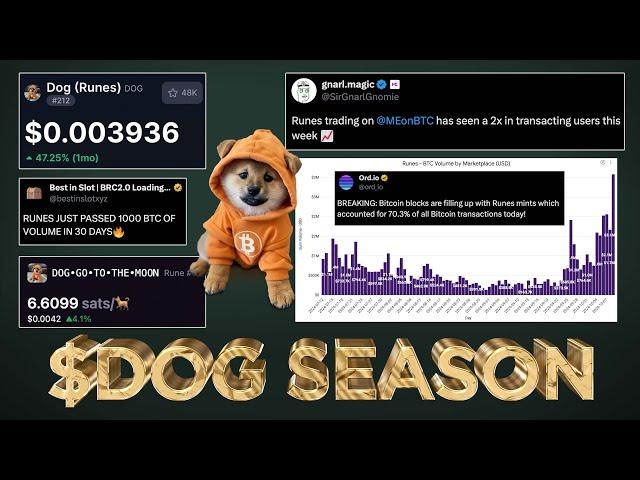 $DOG (Rune) Season Taking off  (Shocking Data Revealed)