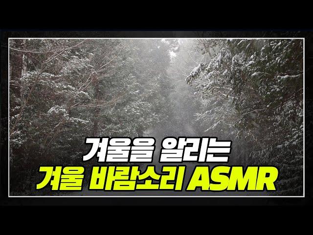 겨울을 알리는 겨울 바람소리 ASMR