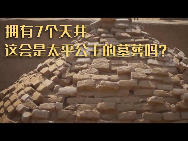 陕西洪渎原发现疑似高等墓葬 7个天井 他究竟是谁 太子还是公主 这会是太平公主的墓葬吗？——《洪渎原唐代大墓疑云》（下）20230112 | 中华国宝