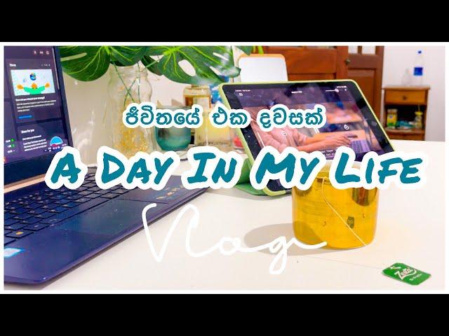 ජීවිතයේ එක දවසක් | A DAY IN MY LIFE VLOG | Productive & Slow living vlog | Life in Sri Lanka 