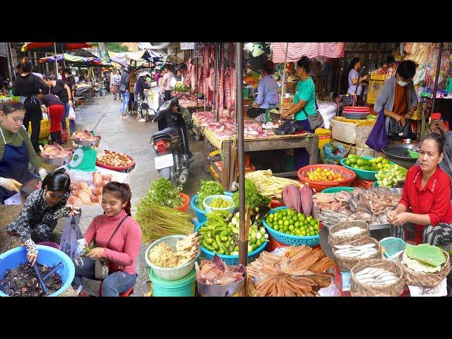 Cambodian Fresh Morning Market @ Orussey & Boeng Trabek, Dried Fish, Shrimp, Chicken, & More