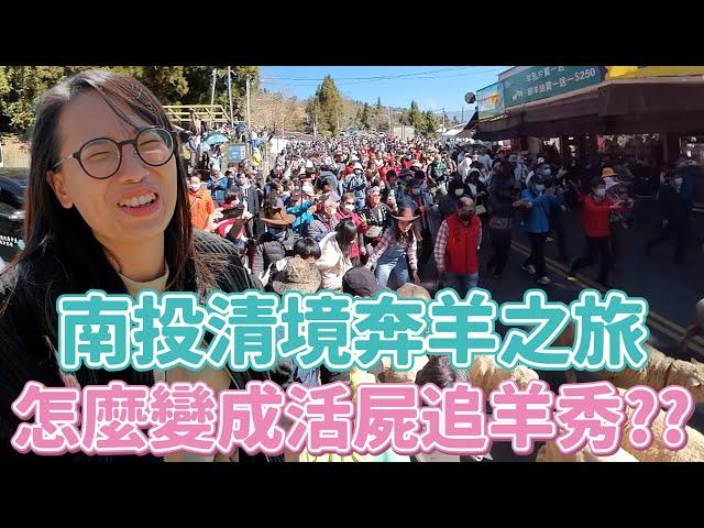 Vlog 16 為了蹭住宿券到清境奔羊開場三秒變活屍秀？還被埔里粉絲帶去哲學之路蒐集毒蛇四神廟！