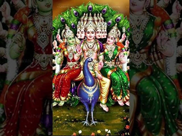 Arumugam #murugasongs #arumugam #devotionalsongs #lordmurugan #murugan #shorts