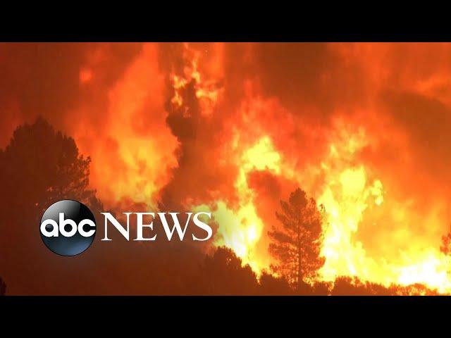 Forest fires reach record levels across globe l ABC News