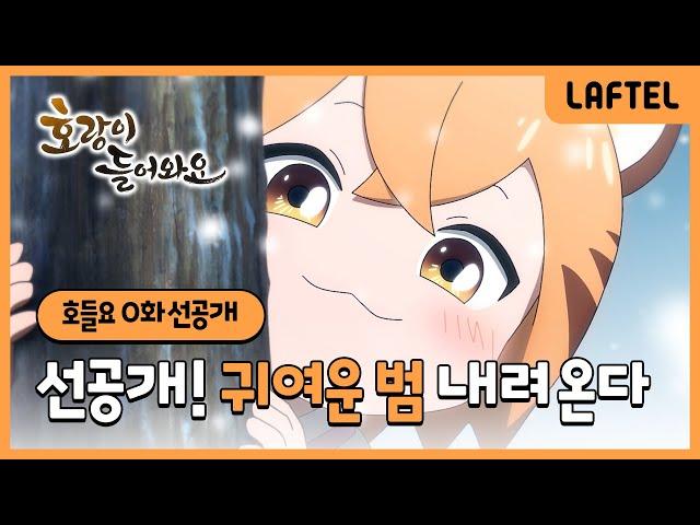 호랑이 들어와요 | 0화 선공개 | 라프텔