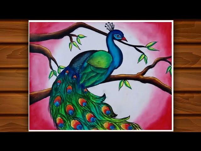 How to draw a Peacock / Beautiful Peacock drawing with beautiful Nature / Nature drawing beautiful