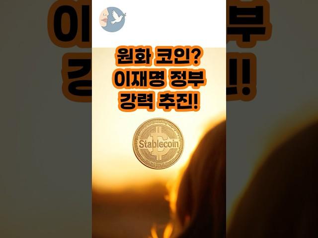 스테이블코인 뭐길래? 디지털자산기본법부터 부작용까지