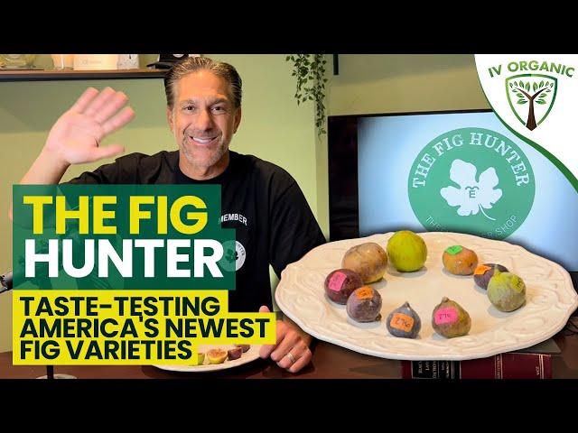 Fig Taste Testing -- America's Newest Fig Varieties feat. @TheFigHunter