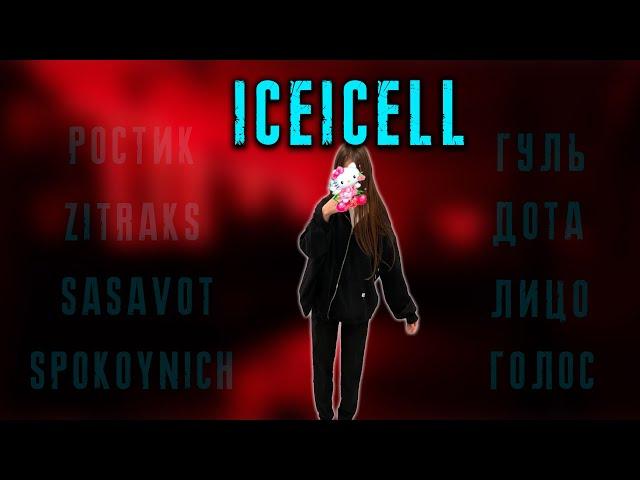 iceicell - SASAVOT, SPOKOYNICH, СКВАД КИШКИ, ZITRAKS / KISHKI vision