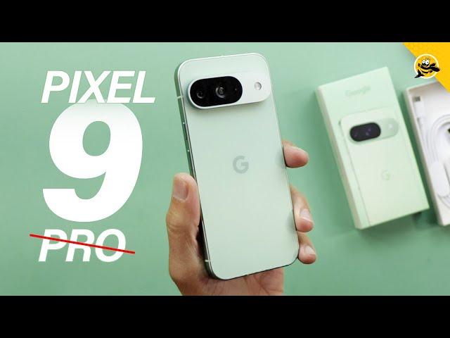 Google Pixel 9 (Wintergreen) - Unboxing, Battery Test & First Review!