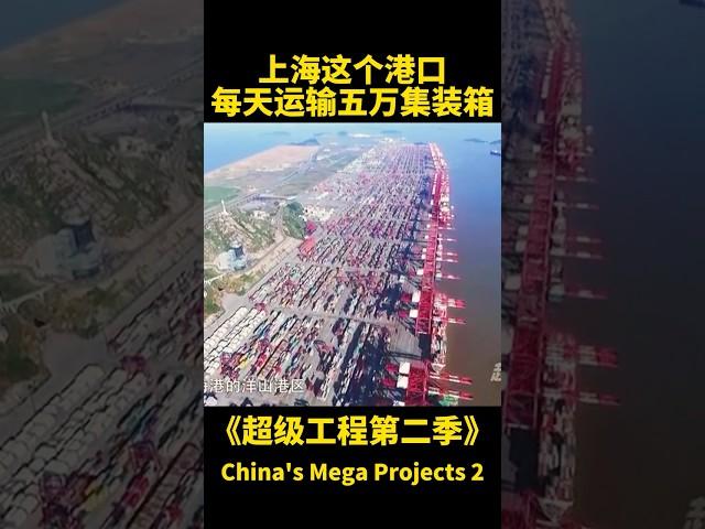 每天运输五万集装箱上海这个港口实在是不可思议！#china