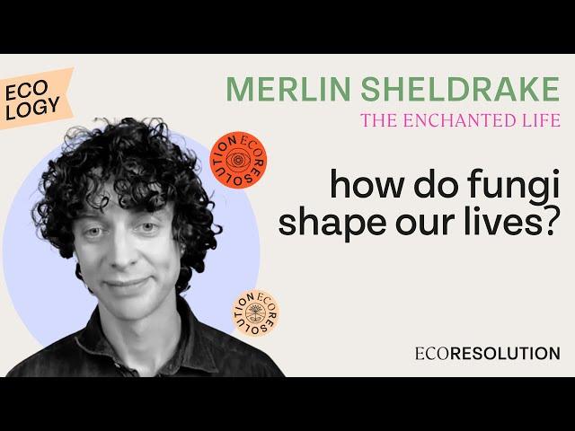 Merlin Sheldrake, The Entangled Life: How Fungi Make Our Worlds, Change Our Minds, Shape Our Future