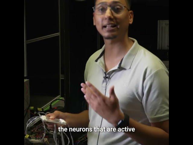 How does the brain control behavior?