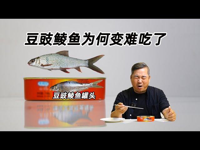 粤港澳名产豆豉鲮鱼为什么越来越难吃？你会分真假鲮鱼吗