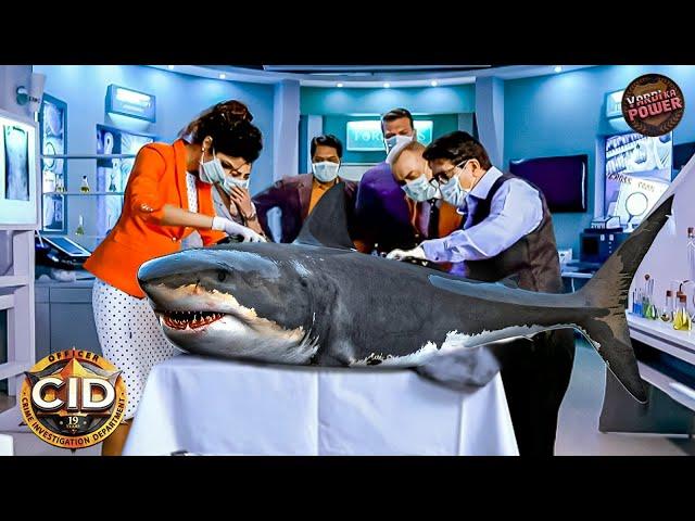 कैसे Team CID सुलझाएगी इस Shark की Unsolved Mystery ? | Best of CID | Latest New Episode