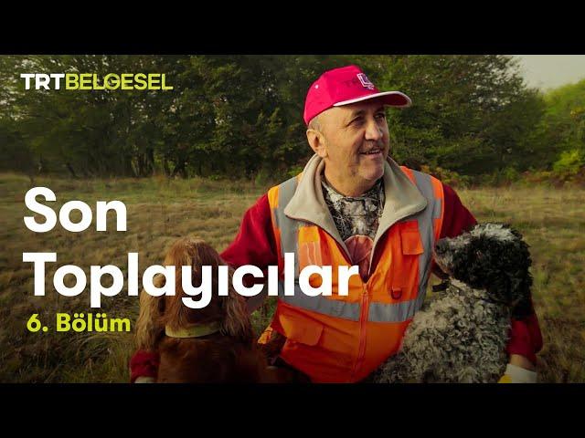 Son Toplayıcılar | Trüf Mantarı | TRT Belgesel