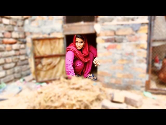 Doggy Ke Kamre Ki Safai Magar Phas Gayi!  | Billi Vs Doggy Ka Samna  | Rabia Simple Life