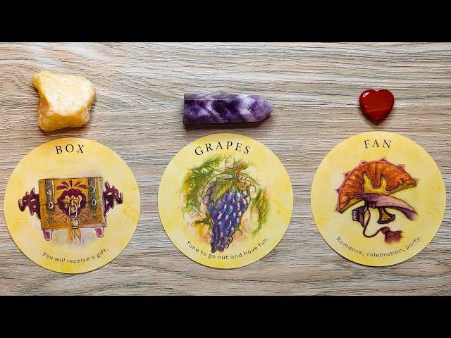 A BIG SUCCESS IS COMING YOUR WAY!  Pick A Card  Timeless Tarot Reading