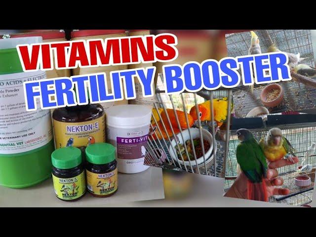 HOW TO GIVE  FERTILTY BOOSTER/VITAMINS TO COCKATIELS, GCC, SUN CONURES (NEKTON-E/ FERTI-VIT)