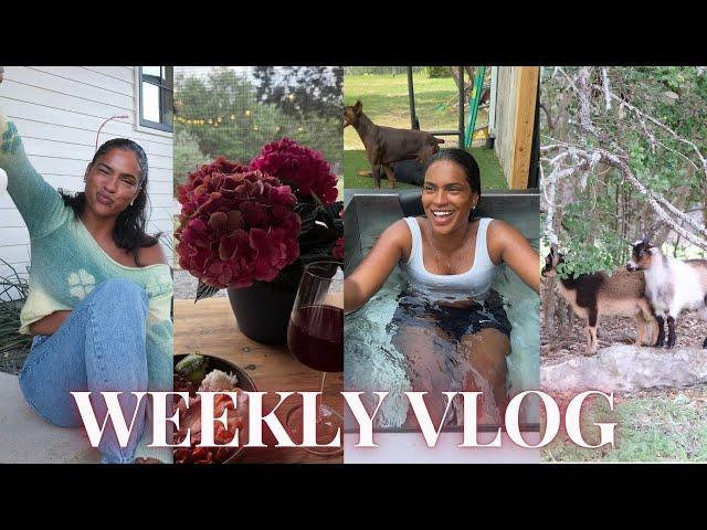 WEEKLY VLOG  (a week in texas, home renovations, weight loss rant, organization, baby goats PART 2)