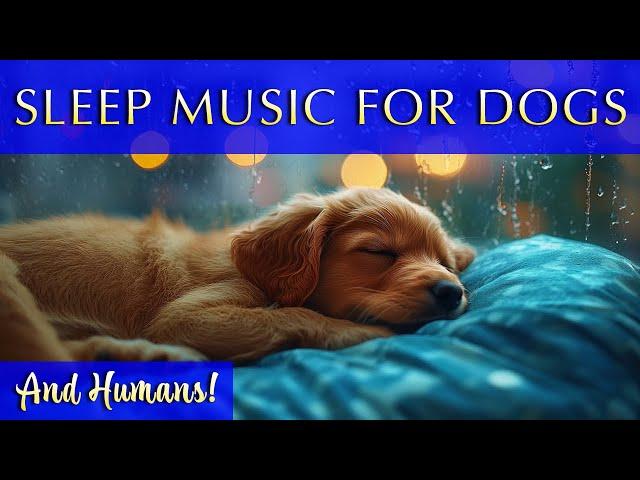 12-Hour Sleep Soundtrack for Dogs & Humans: Comforting Music for Sleep and Calm