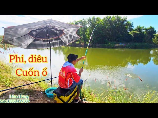 Fishing | Câu Đài | Tâp 275 | Trời Lạnh Diêu Hồng , Phi Nó Cuốn Ổ Hồ Bán Thiên Nhiên | Nghiện Câu TV