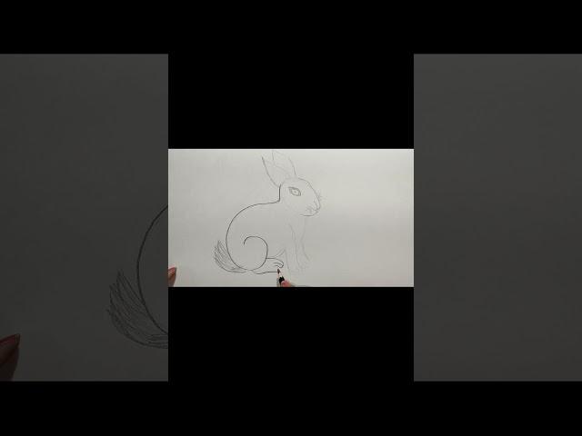 how to draw a rabbit,simple rabbit pencil drawing#lata art adda#short video