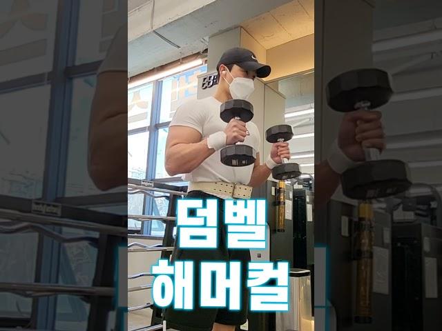 해머컬 운동하는 법(왕팔만들기)