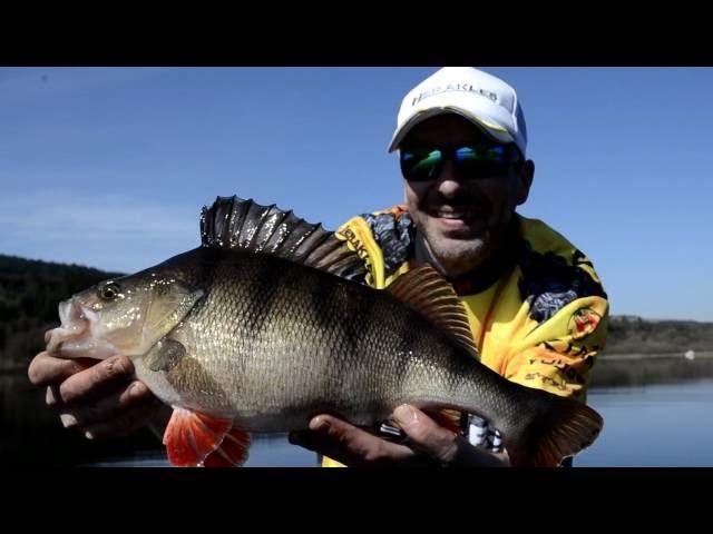 Perch Fishing Drop Shot Lure fishing ' Wild waters of Scotland'