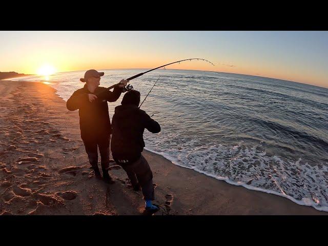 The Fish Turned Up and We Were All Catching