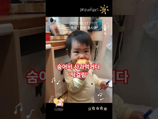 몰래 사과 먹는 쇼니의 귀여운 하루  #shorts"