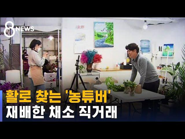 코로나 불황 속 활로 찾는 '농튜버' / SBS