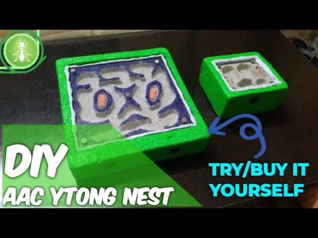 How to build a Ant farm l DIY AAC Modular formicarium
