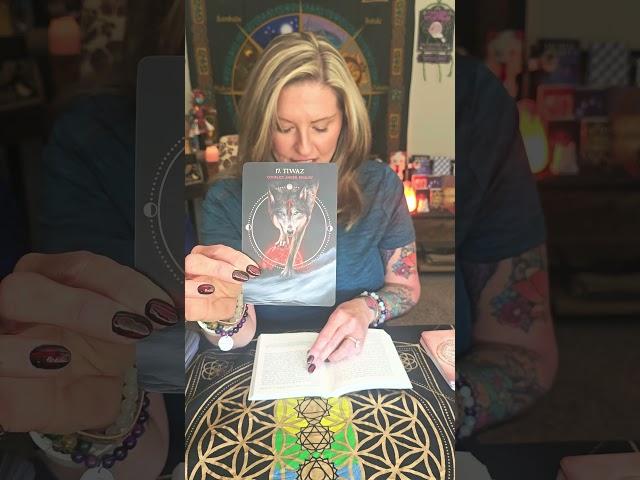 Tiwaz Rune  | Step Forward with Courage | Quick Message for Your Journey
