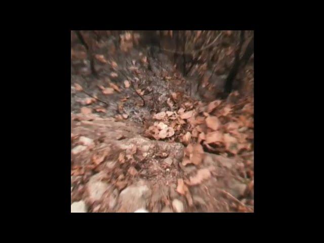 It's difficult to see your own face without mirror!!! Video