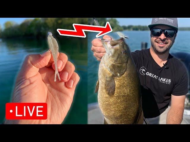 NEW Lures & Techniques for BIG Smallmouth (Great Lakes Finesse)