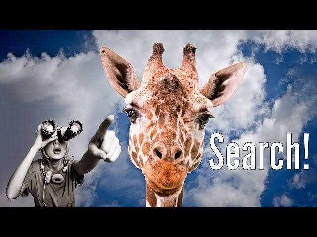SUPER FAST Searches in Lightroom Classic With This PLUGIN