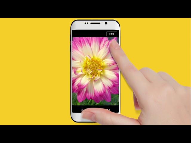 PlantSnap Android instructional video - landscape mode