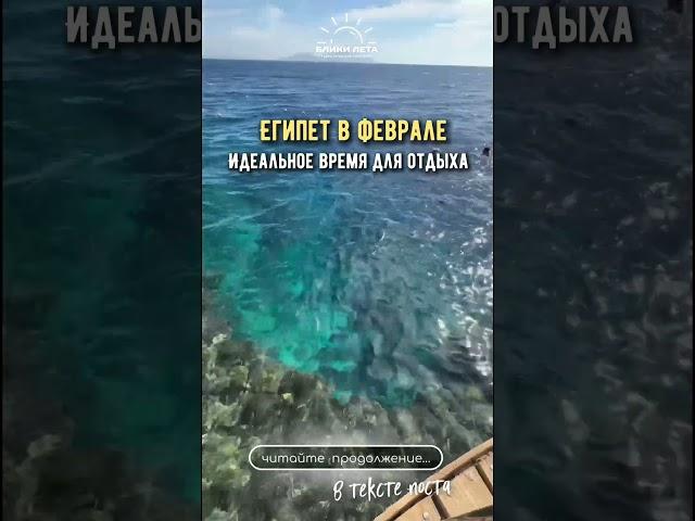 Давайте расскажу, почему февраль это лучшее время для отдыха в Египте: #путешествия #турагент