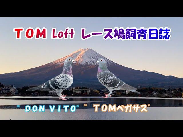 23 5 2（火）東日本CHレース開催